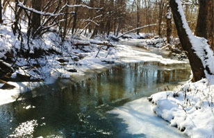 Photo of Monday Creek