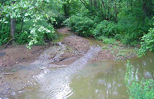 Photo of Yellow Creek